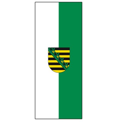 Werbe Fahnen 120 x 300 cm Fahne Flagge Logo Ihr Motiv 
