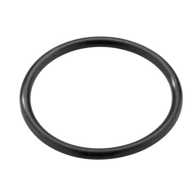 O-Ring aus EPDM für Rotorträger